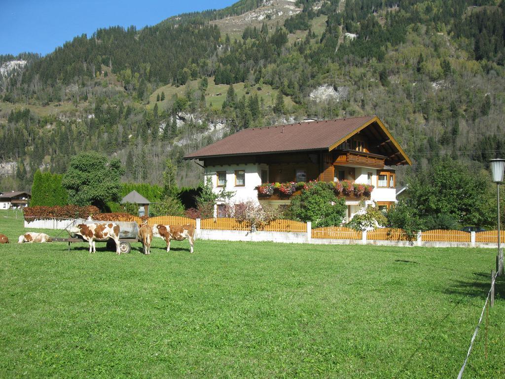Haus Schoenegger Dorfgastein Exterior foto